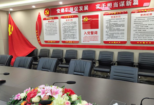 新起点新征程陕西驭腾新工业技术开发集团有限公司党支部正式成立